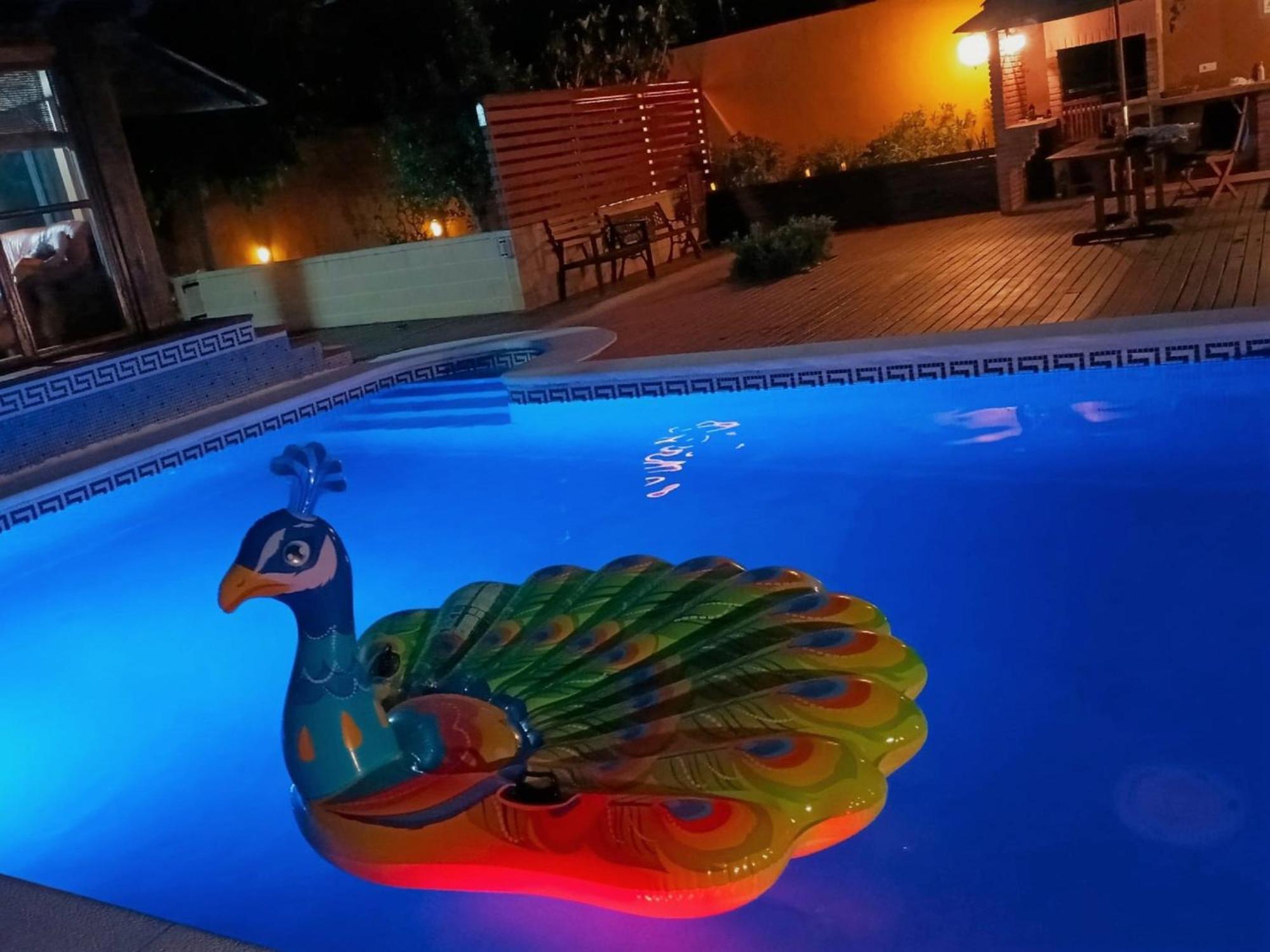 Villa Du Lac Speciale Pour Famille Avec Enfant Riudecanyes Eksteriør bilde